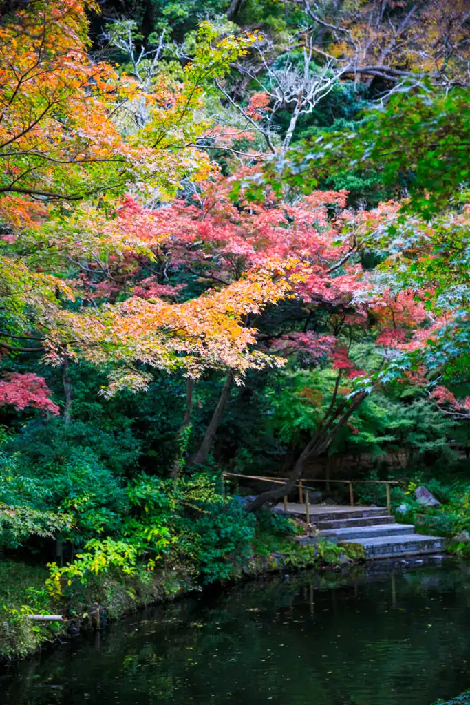 鶴岡八幡宮