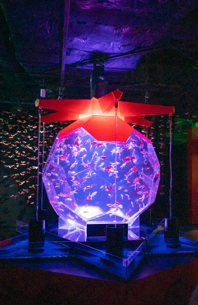 アートアクアリウム美術館 GINZA